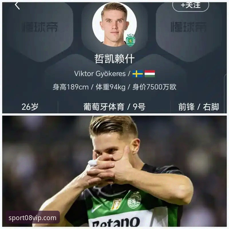 vip账号注册 哲凯赖什20球里程碑观赛指南:在08vip体育平台看懂阿森纳锋线密码